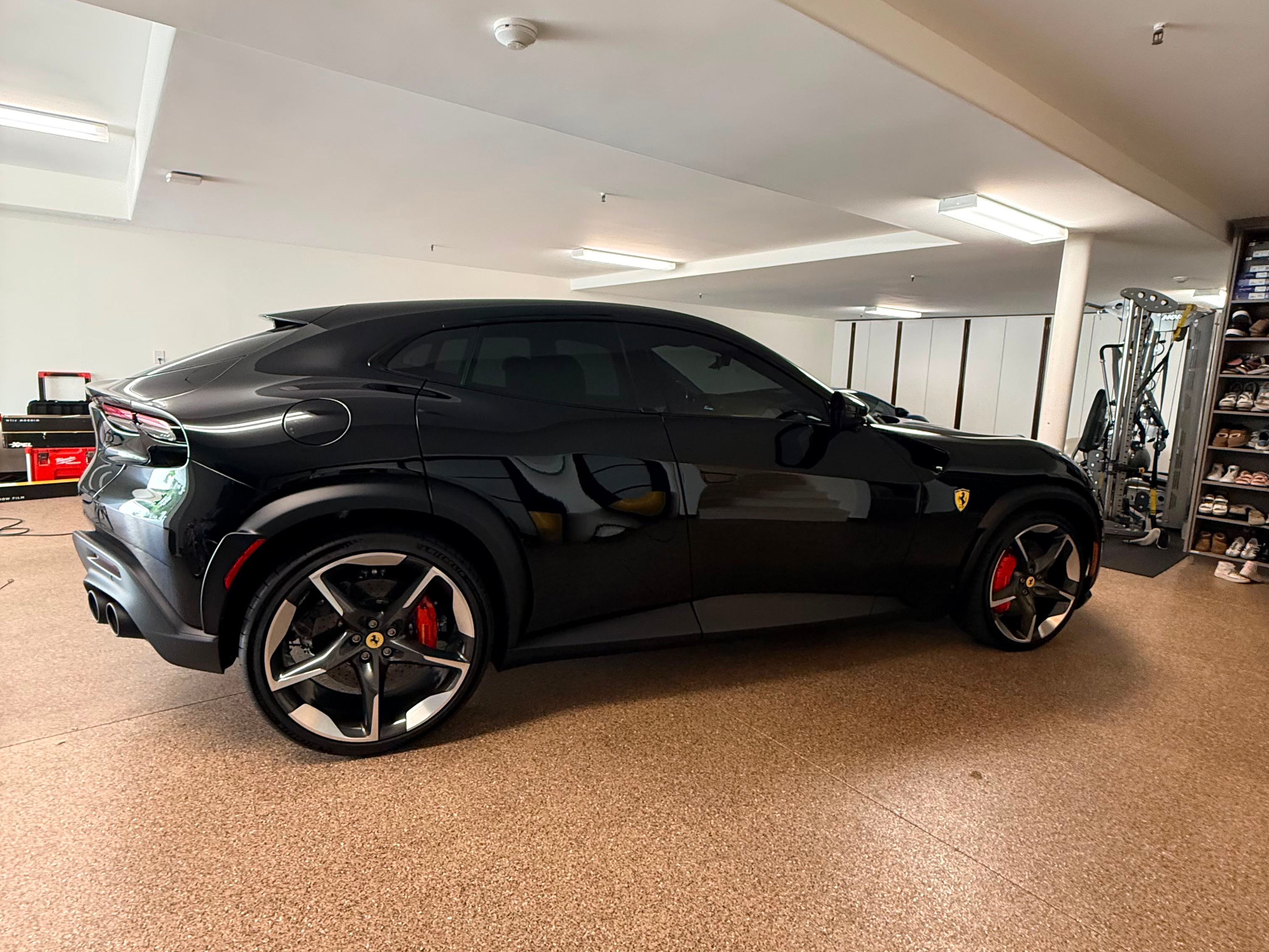 Ferrari Purasangue 1